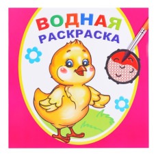 Водная раскраска. Цыпленок, 20х20 см