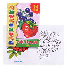 Раскраска 2-4 года. Ягоды. 21х14 см.